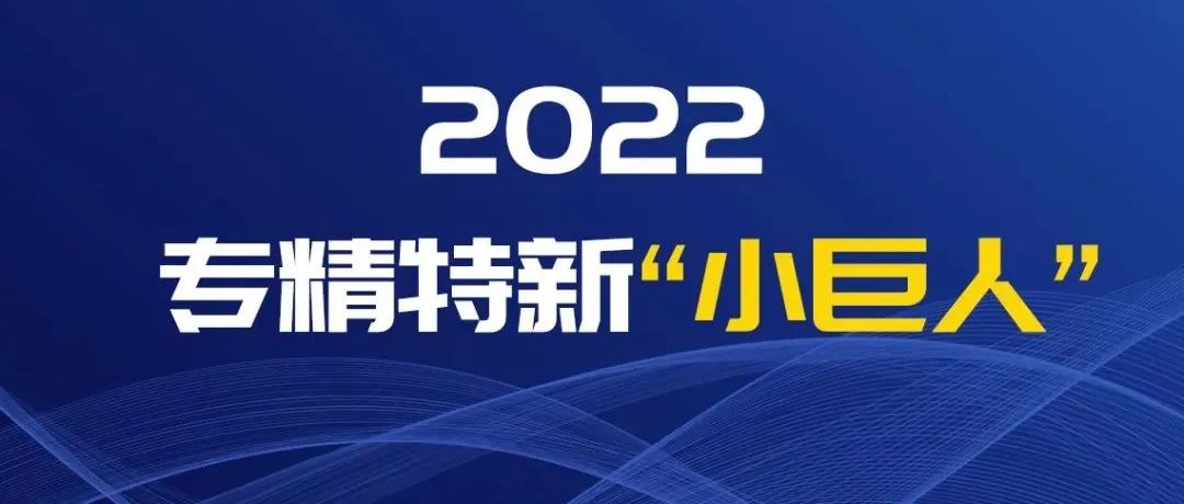 2022专精特新小巨人.jpg